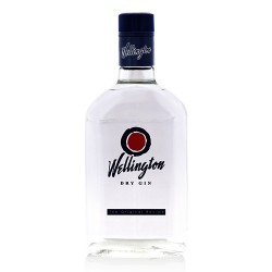 Wellington Dry Gin 0.70 Lts
